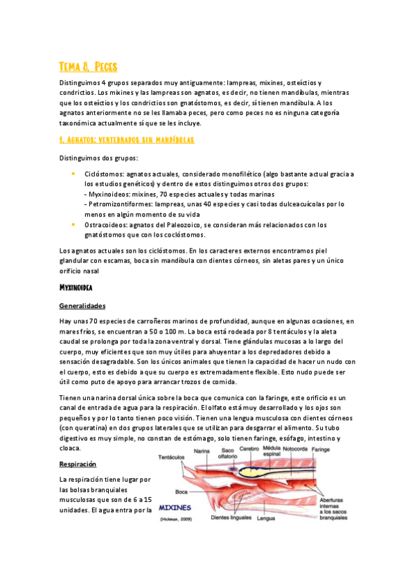 Miniatura del documento Tema-8-Zoologia-I.pdf