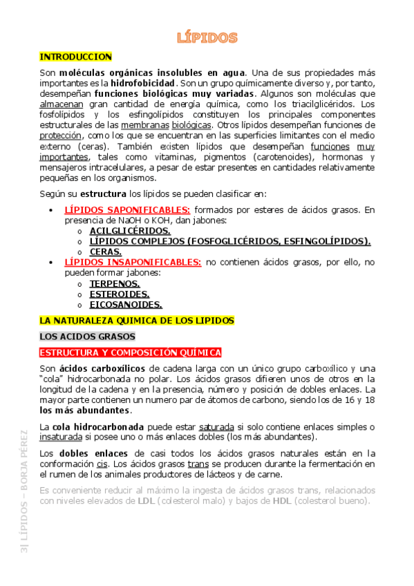 Miniatura del documento 3-Lipidos-Resumen.pdf