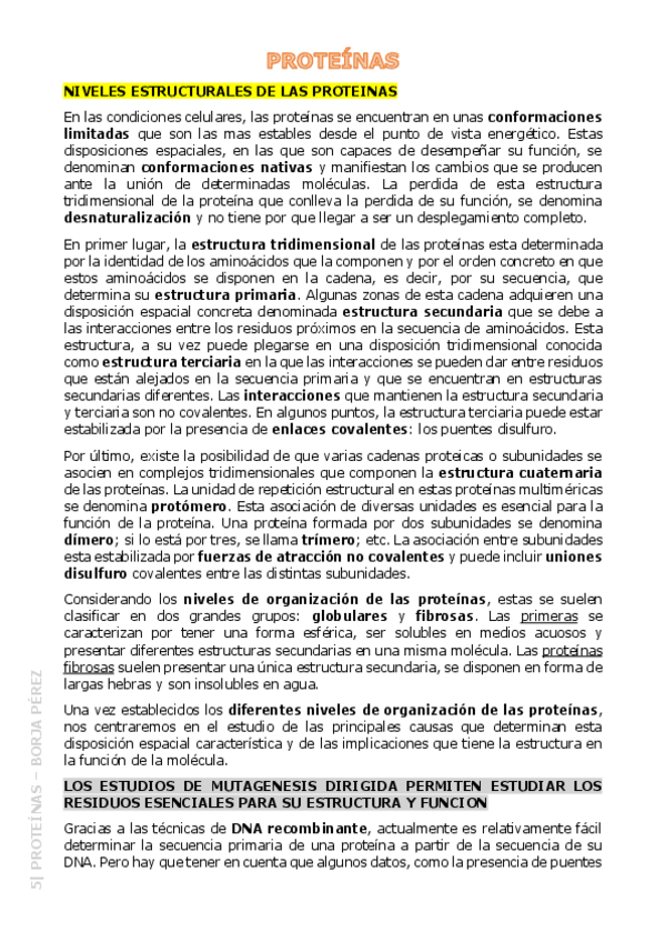 Miniatura del documento 5-Proteinas-Resumen.pdf