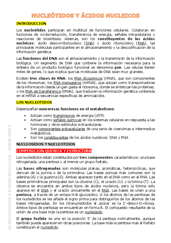 Miniatura del documento 6-Nucleotidos-y-Acidos-Nucleicos-Resumen.pdf