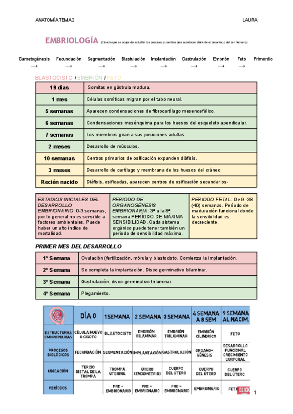 Miniatura del documento EMBRIOLOGIA-1.pdf