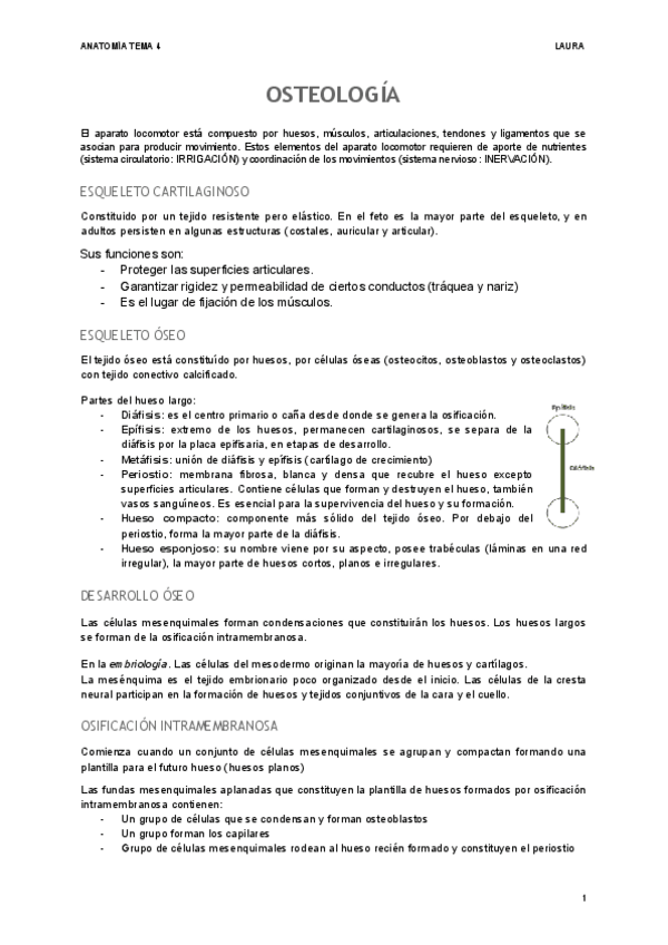 Miniatura del documento OSTEOLOGIA-1.pdf