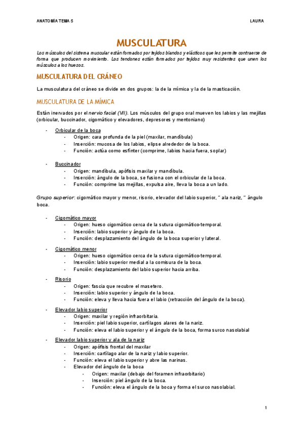 Miniatura del documento MUSCULATURA-1.pdf