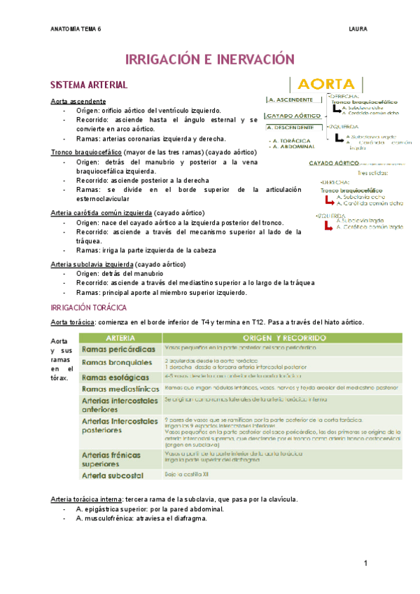 Miniatura del documento IRRIGACION-E-INERVACION-1.pdf