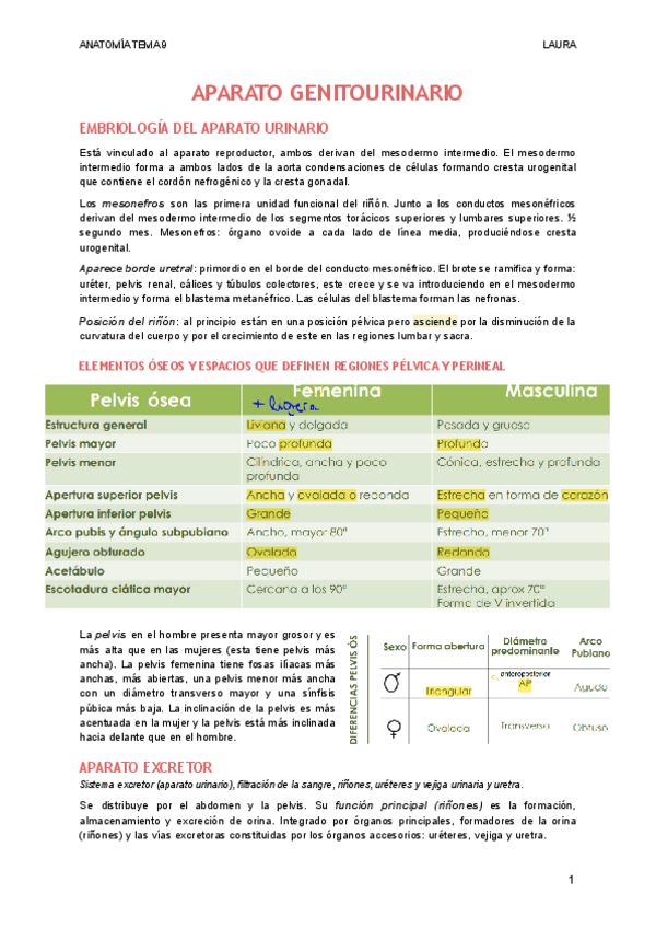 Miniatura del documento APARATO-GENITOURINARIO-1.pdf