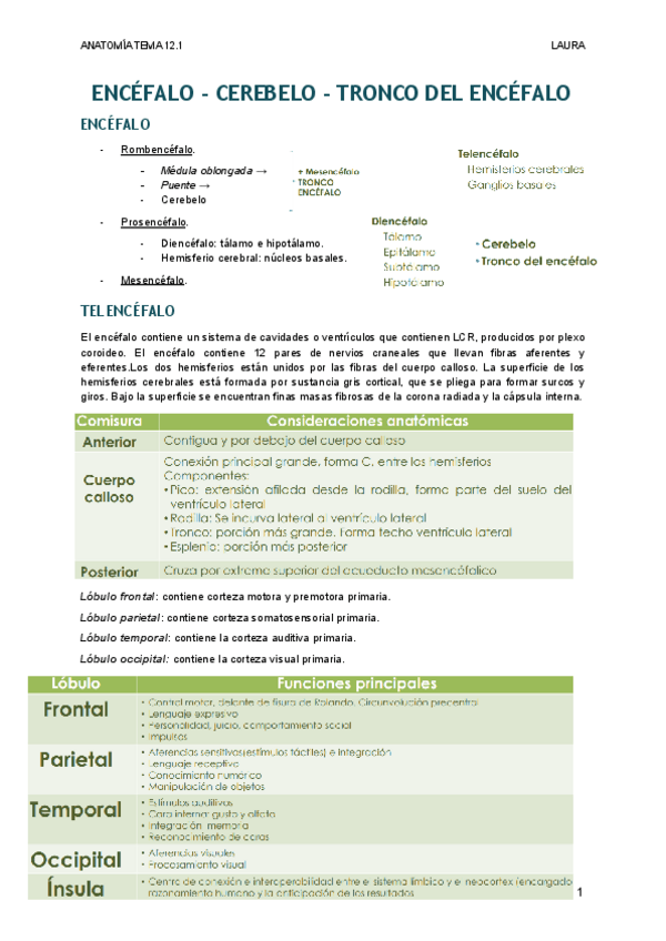 Miniatura del documento ENCEFALO-CEREBELO-TRONCO-DEL-ENCEFALO.pdf