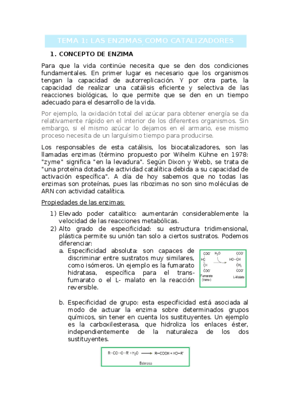 Miniatura del documento TEMA-1.docx
