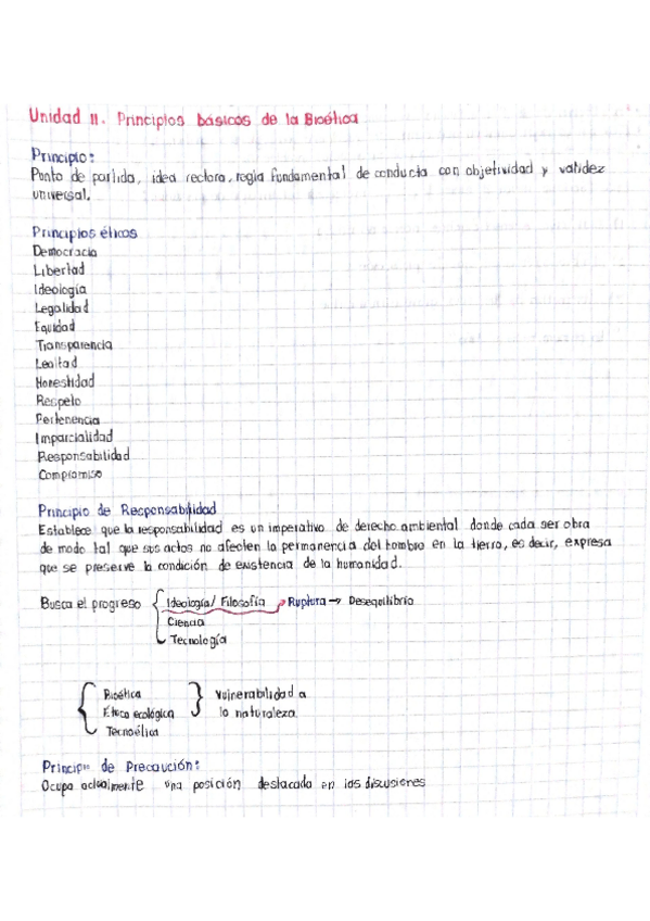 Miniatura del documento Principios-basicos-de-la-Bioetica.pdf