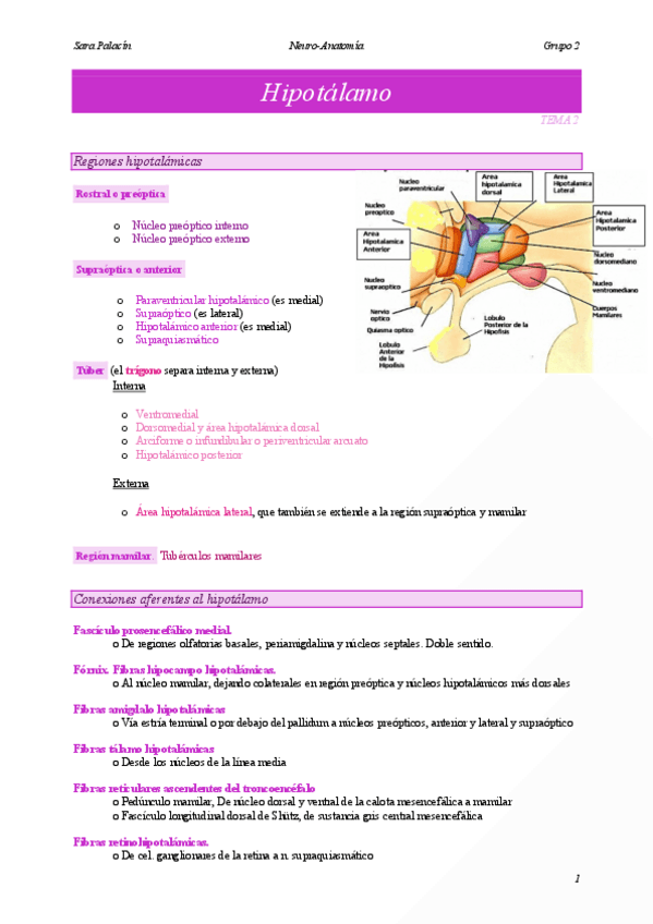 Miniatura del documento Hipotalamo.pdf