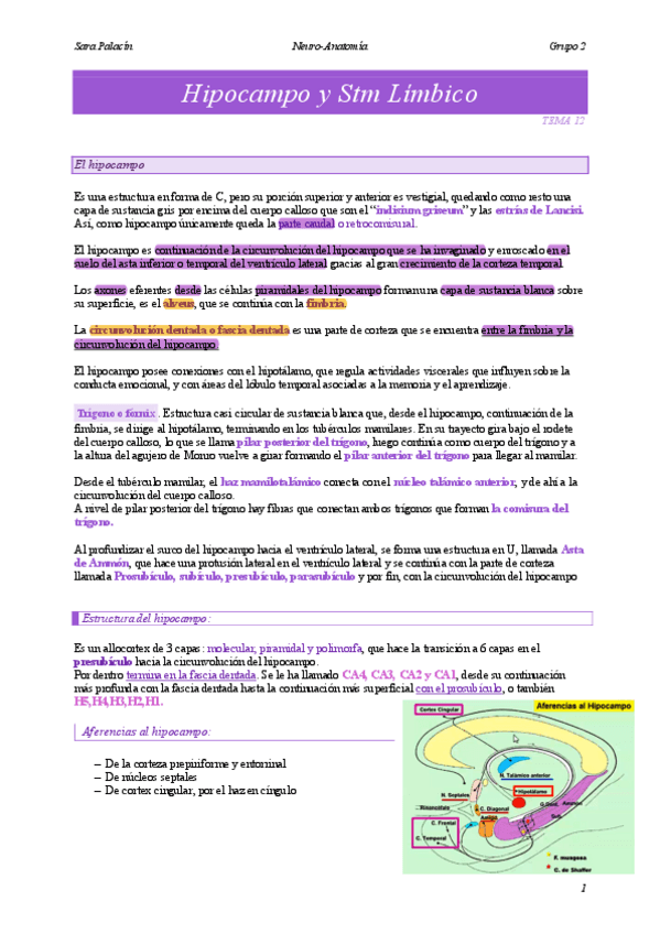 Miniatura del documento Hipocampo-y-Stm-Limbico.pdf