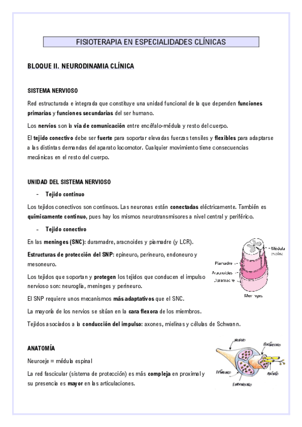 Miniatura del documento Neurodinamia-apuntes.pdf