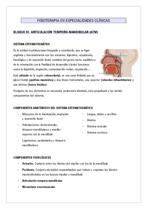 Miniatura del documento ATM-Apuntes.pdf