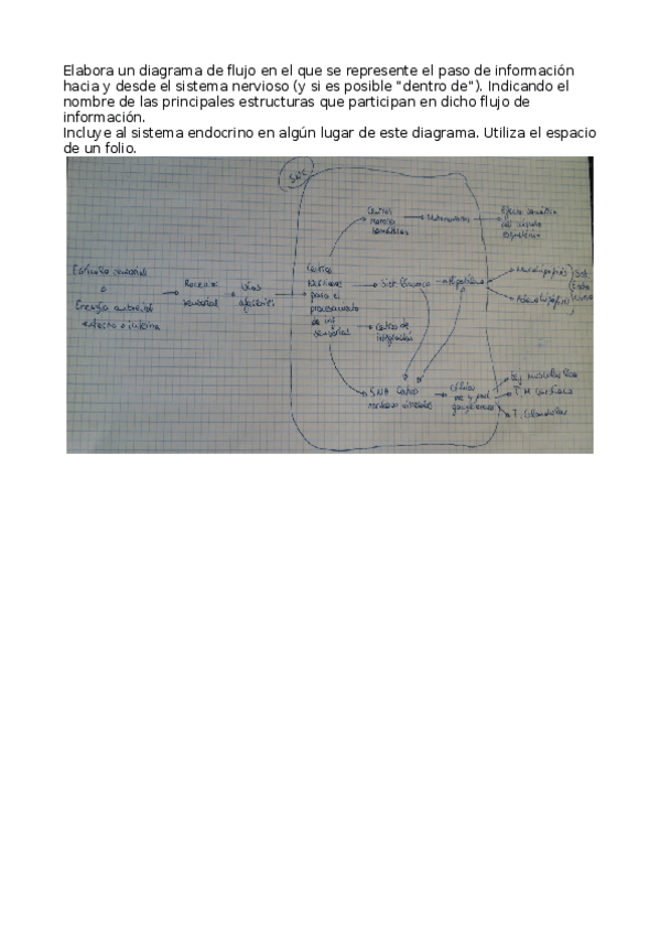 Miniatura del documento Ejercicio examen.odt