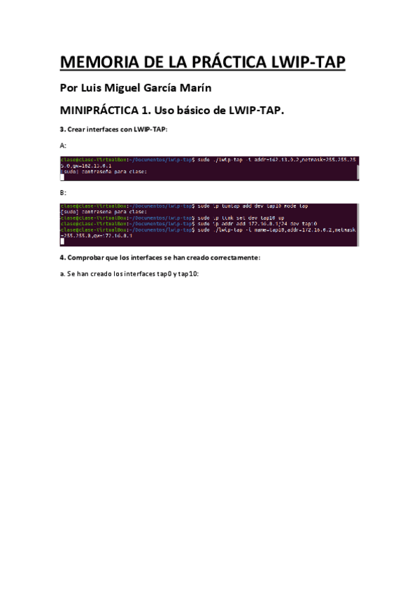 Miniatura del documento MEMORIA-PRACTICA-LWIP-TAP-por-Luis-Miguel-Garcia-Marin.pdf