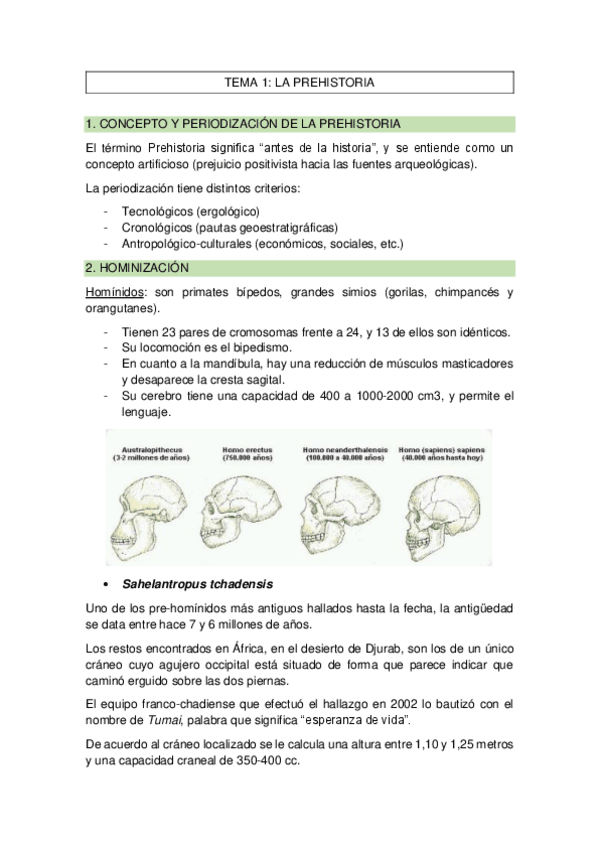 Miniatura del documento TEMA-1-la-prehistoria.pdf