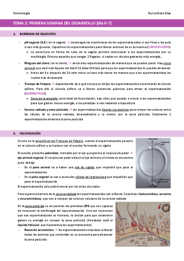 Miniatura del documento TEMA-2-Primera-semana-del-desarrollo.pdf