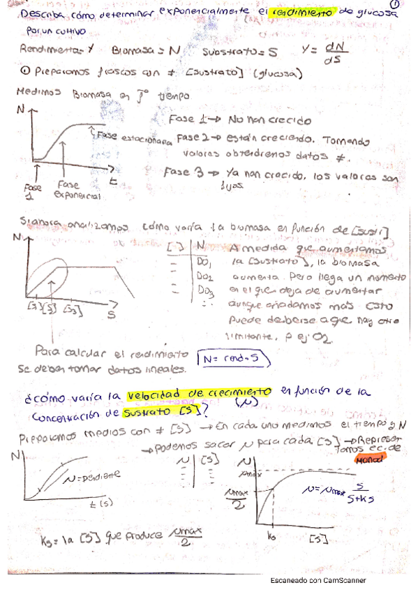 Miniatura del documento preguntas-practicas-micro.pdf