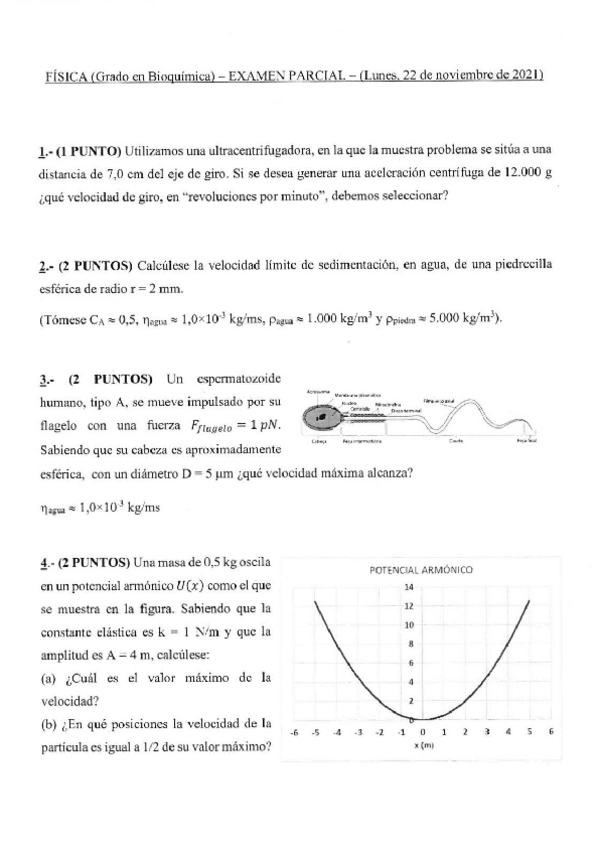 Miniatura del documento Parcial-Fisica-2022-Bioquimica.pdf