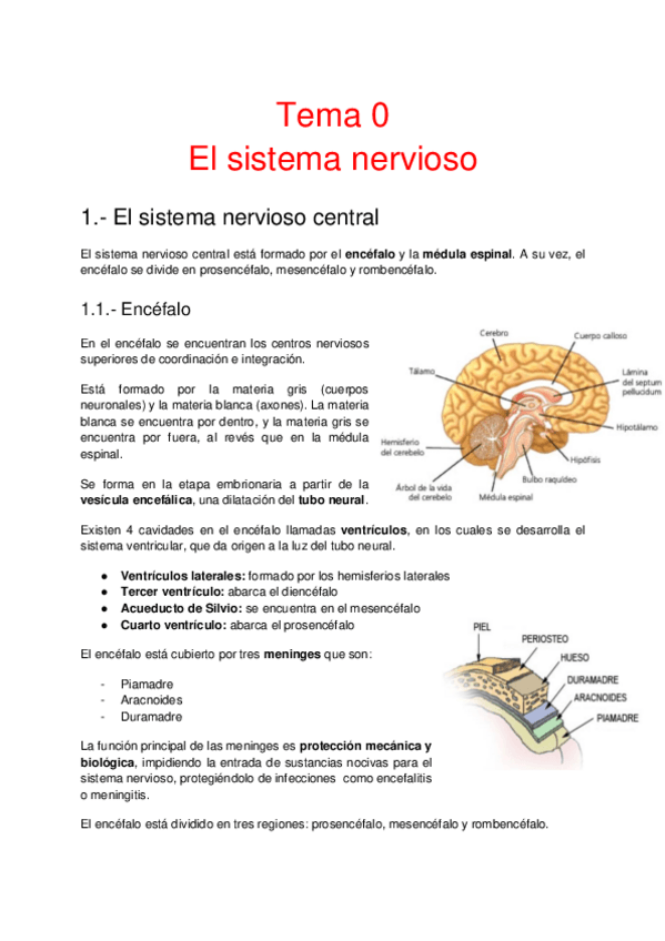 Miniatura del documento Afecciones-del-sistema-nervioso.pdf