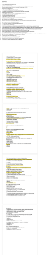 Miniatura del documento EXAMEN-.pdf
