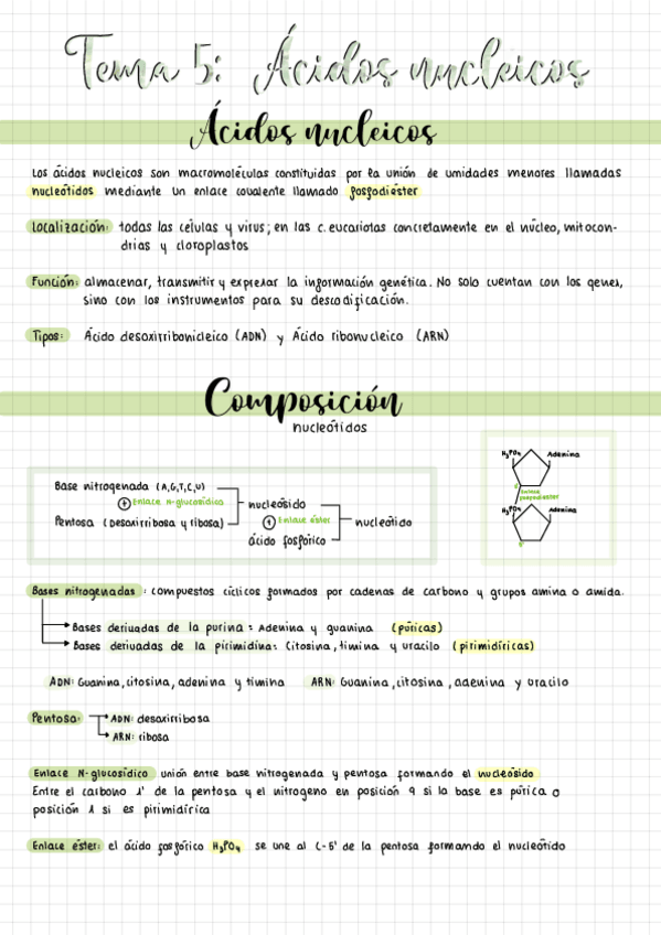 Miniatura del documento aminoacidosacidos-nucleicos-.pdf