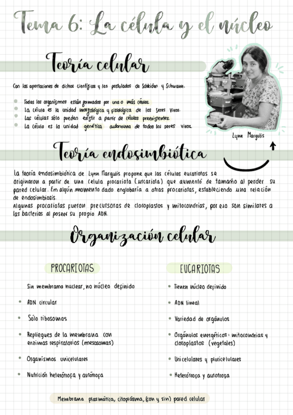 Miniatura del documento celula-y-nucleo.pdf