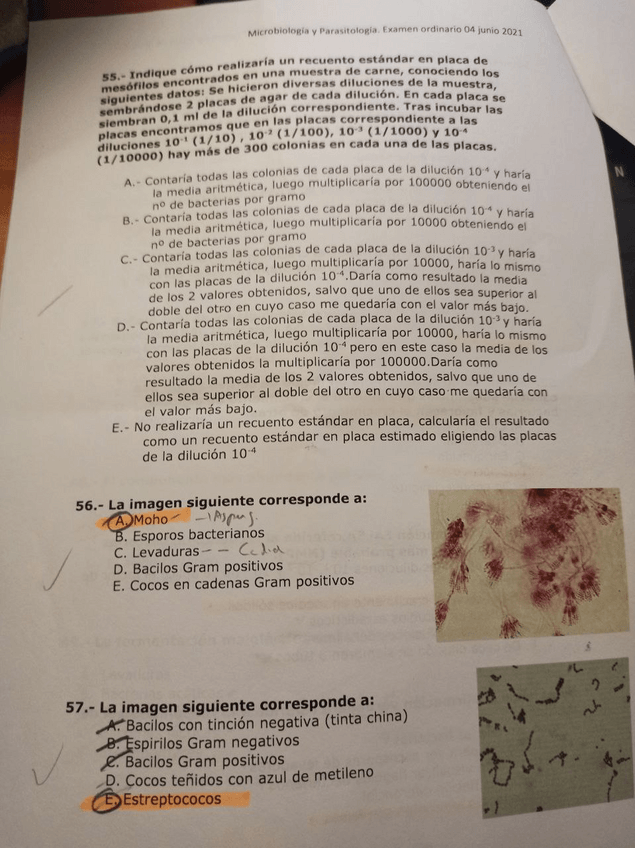 Miniatura del documento 12.pdf