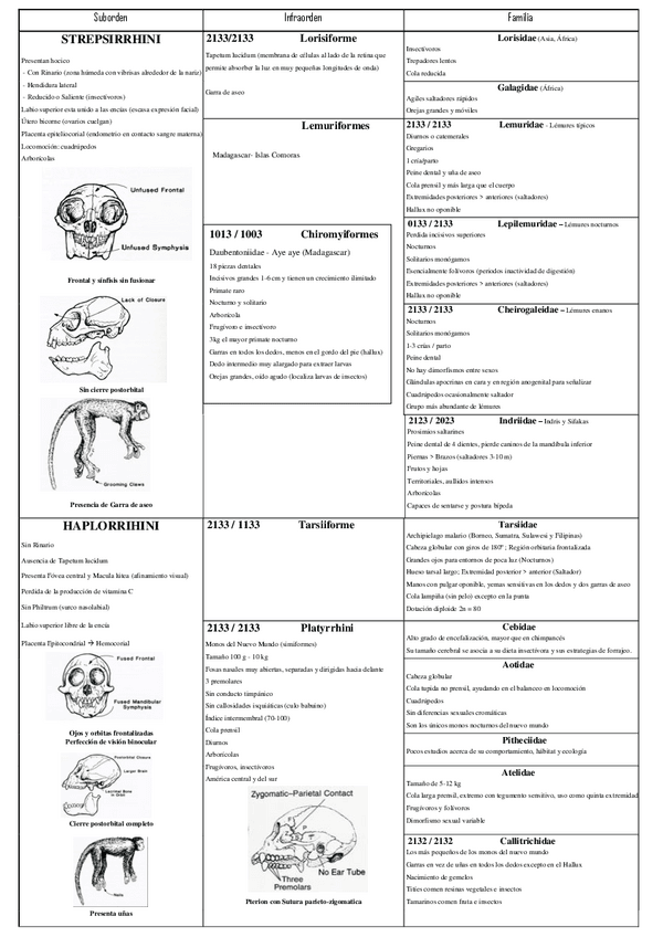 Miniatura del documento ESQUEMA-ANTROPOLOGIA-sist.pdf