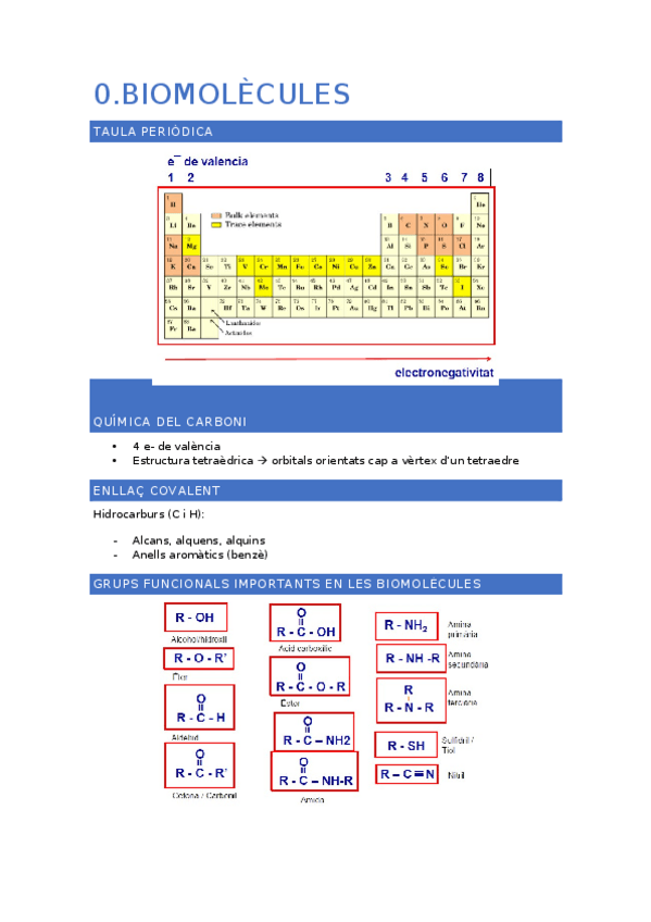 Miniatura del documento resum-bioquimica-1r-parcial.docx
