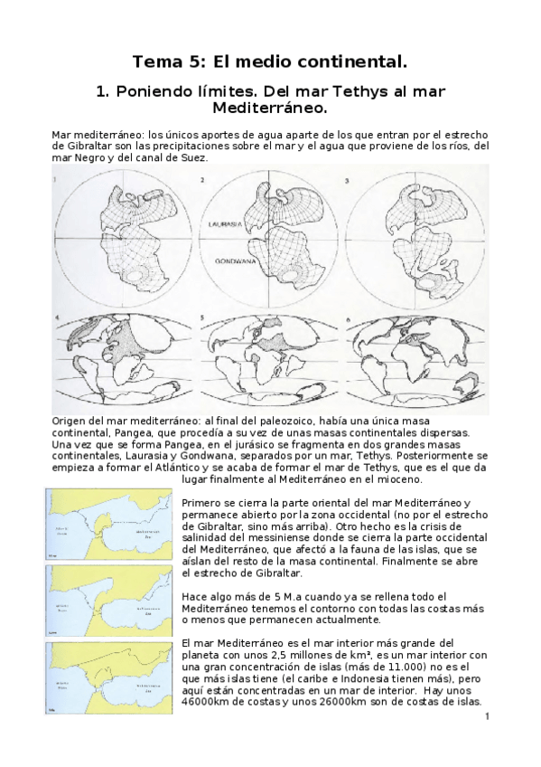 Miniatura del documento Tema5.docx