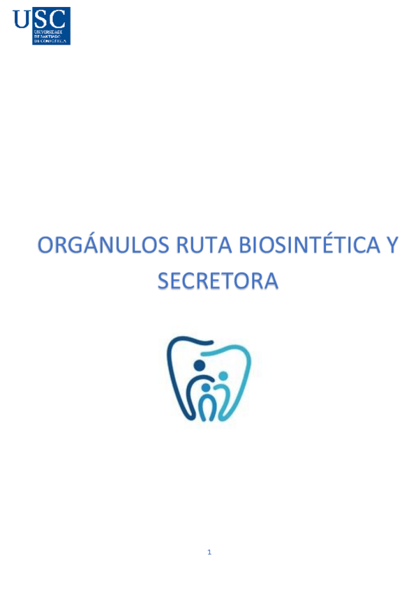 Miniatura del documento T.pdf