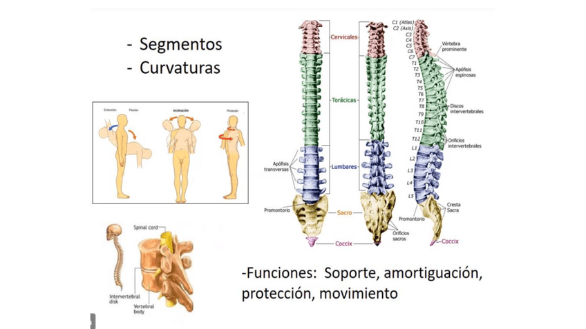 Miniatura del documento bloque-1-tronco-power-clase.pdf
