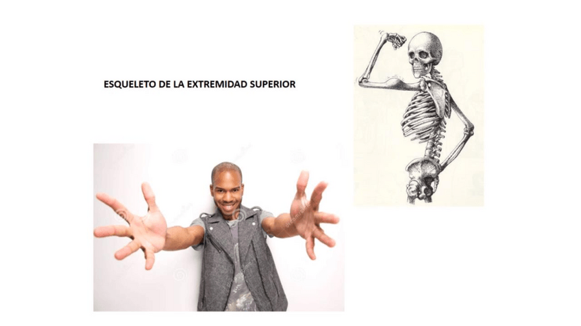 Miniatura del documento bloque-3-extremidad-superior-power-clase.pdf