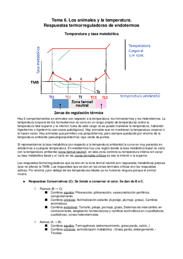 Miniatura del documento Tema5.docx