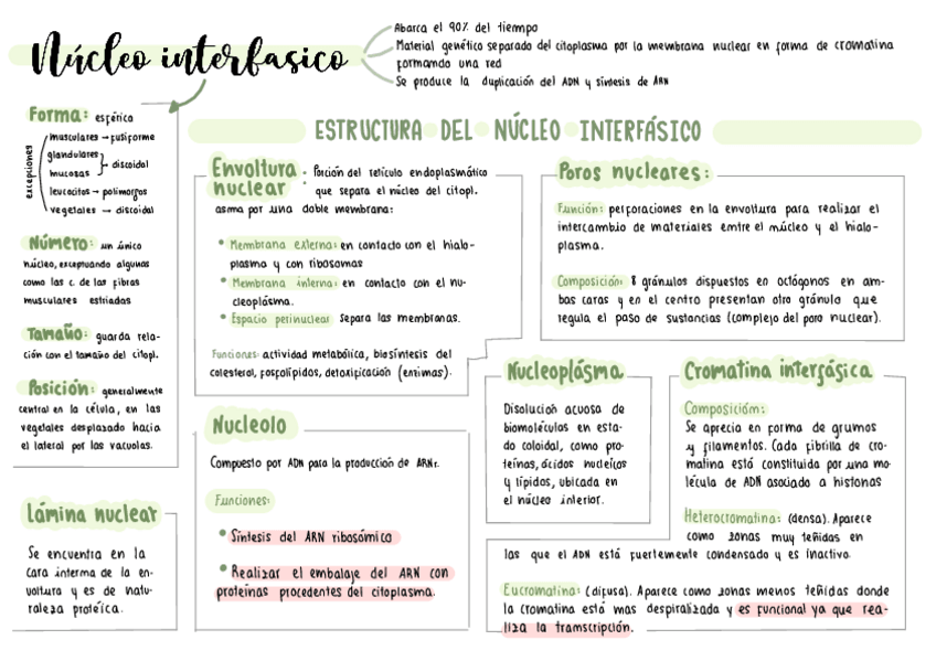 Miniatura del documento organulos-celulares-membranosos-y-no-membranosos.pdf