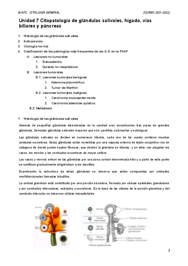 Miniatura del documento Tema-7.pdf