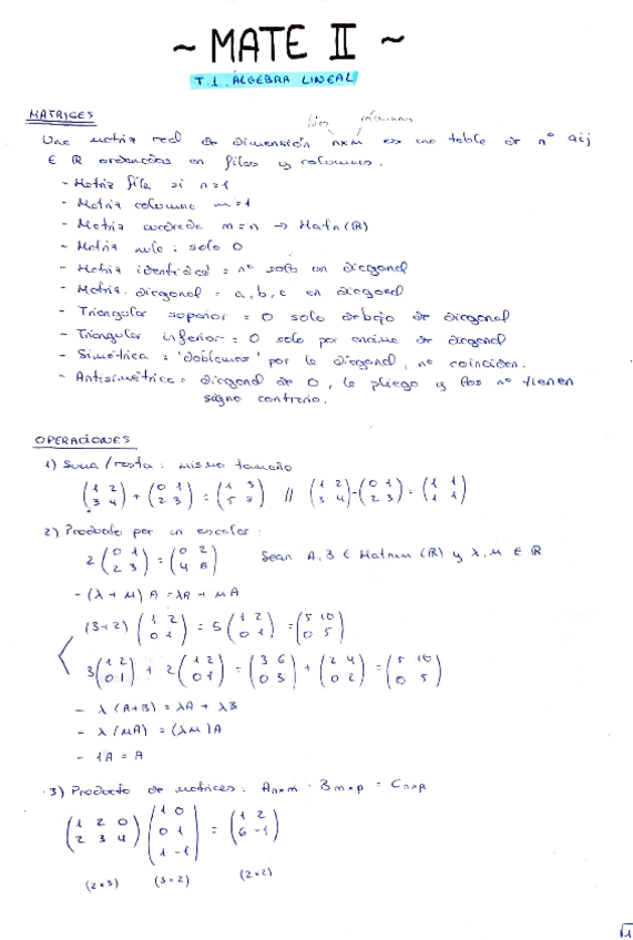 Miniatura del documento Bloque-1.pdf
