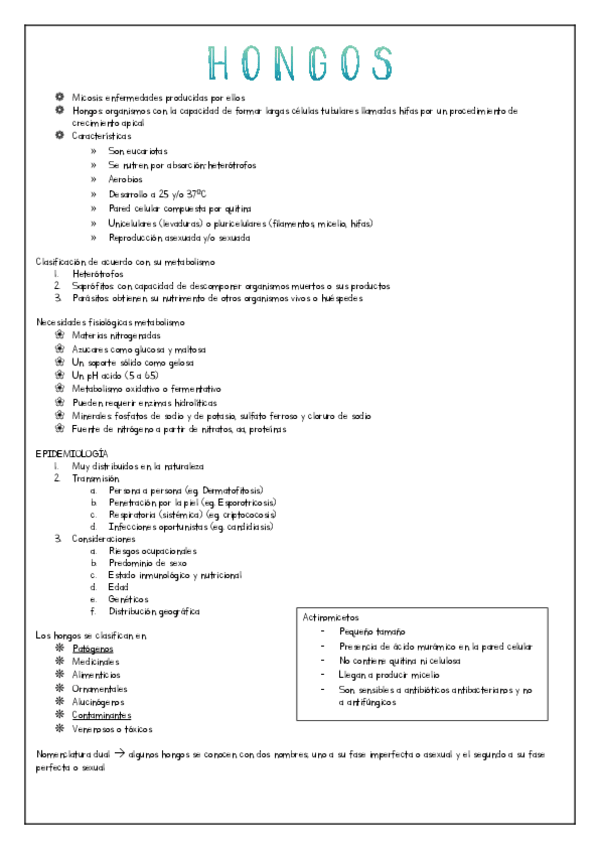 Miniatura del documento H-O-N-G-O-S.pdf