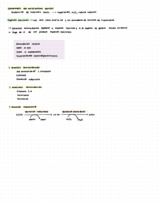 Miniatura del documento Bioquimica-21-42.pdf