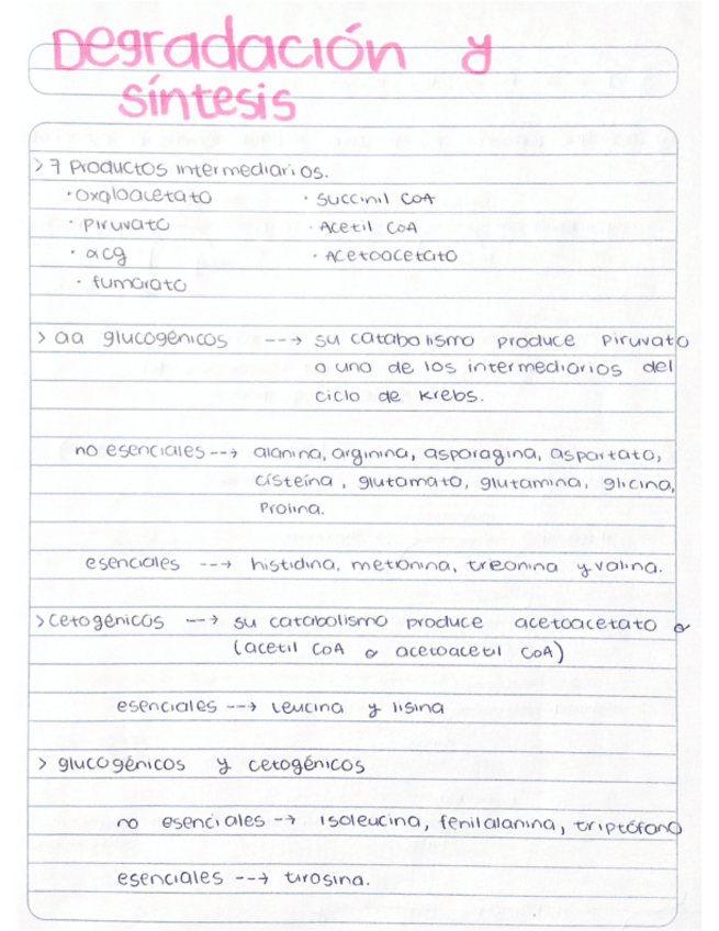 Miniatura del documento Bioquimica-43-62.pdf