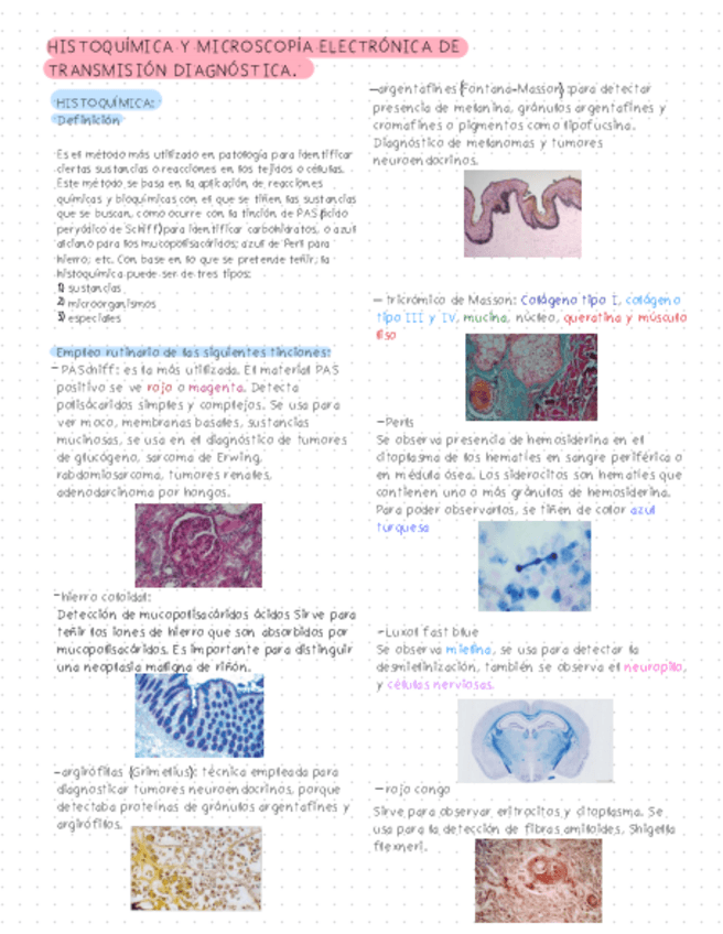 Miniatura del documento Histoquimica-y-MET-Dx-.pdf