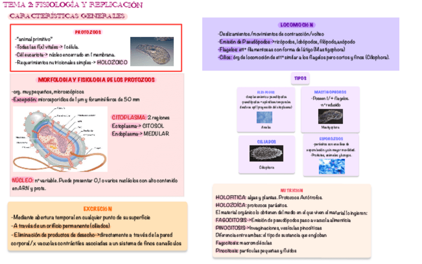 Miniatura del documento Esquemas-Tema-2-Parasitologia.pdf