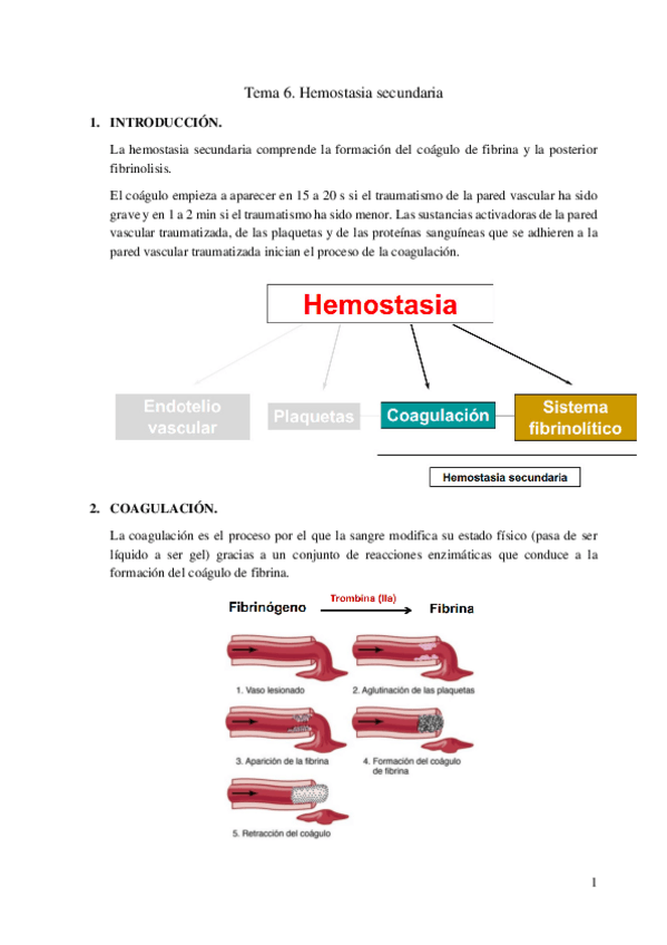 Miniatura del documento Hemostasia-secundaria-.pdf