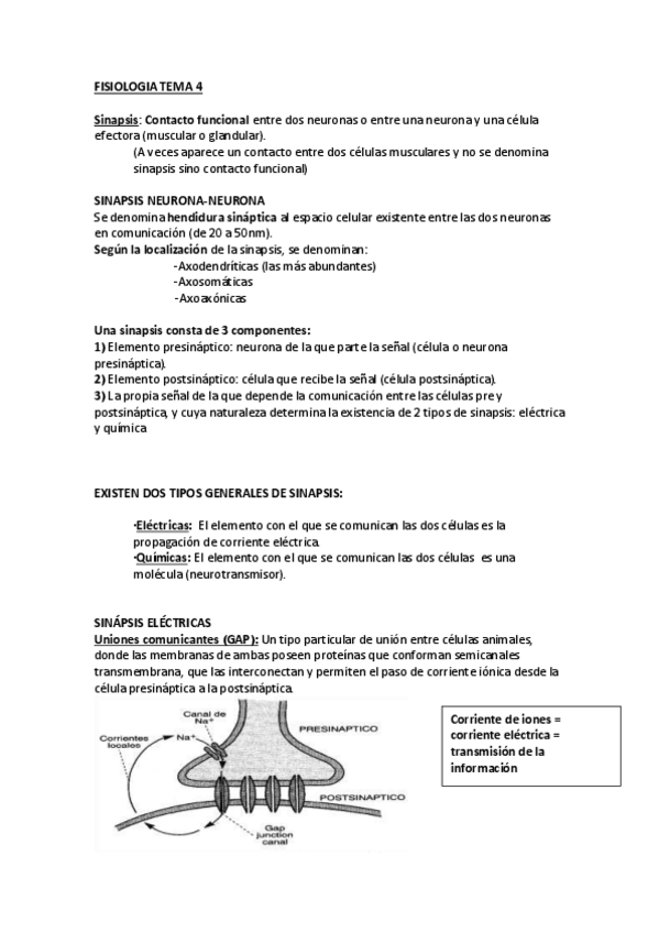 Miniatura del documento ANATOMIA-Y-FISIOLOGIA-TEMA-4-20-SEPT-2021.pdf