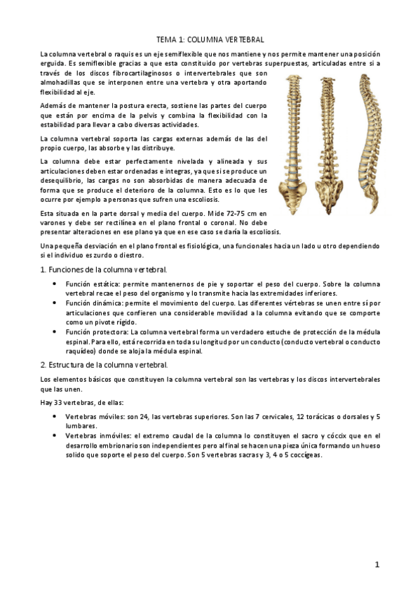 Miniatura del documento TEMARIO-CARMEN-CARRASCO.pdf