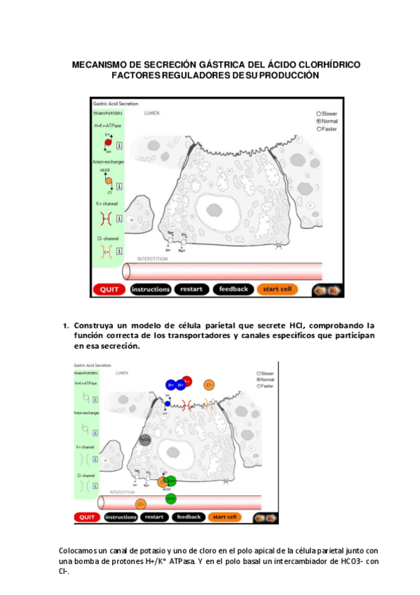 Miniatura del documento Multimedia-4.pdf