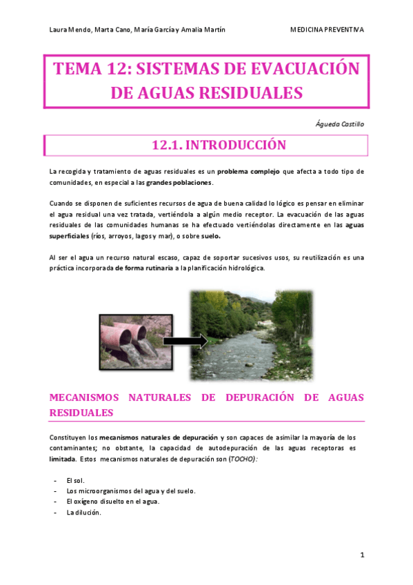 Miniatura del documento PREVENTIVA-TEMA-12.pdf