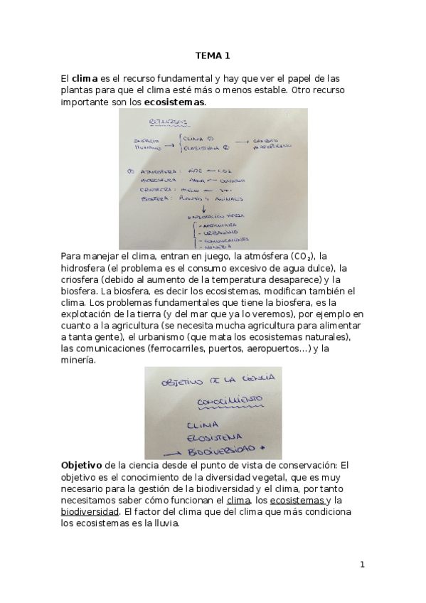 Miniatura del documento TEMA 1.docx