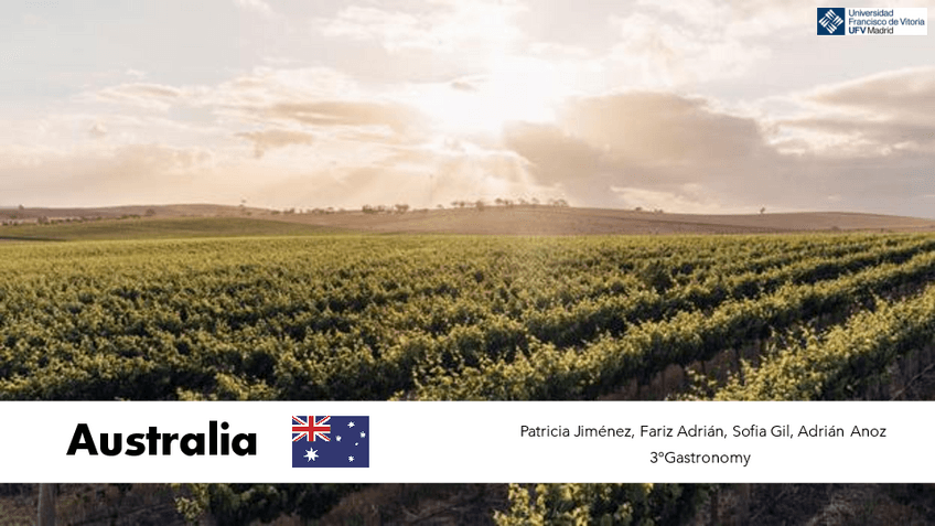 Miniatura del documento Australia-Social-Responsability-in-Drinking.pdf
