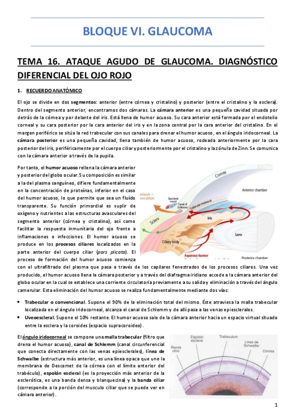 Miniatura del documento BLOQUE-VI-GLAUCOMA.pdf
